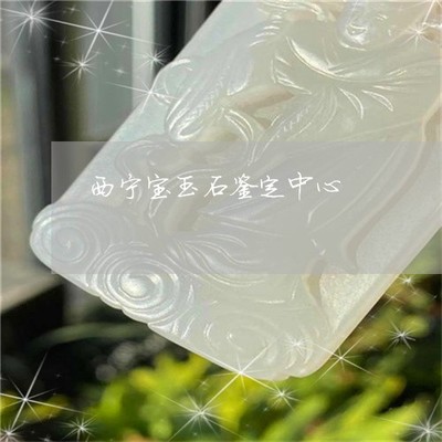 西宁宝玉石鉴定-西宁宝玉石鉴定地址(今日更新中)